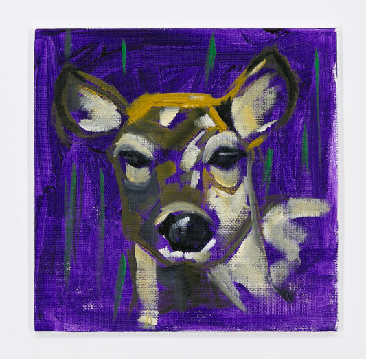 Deer