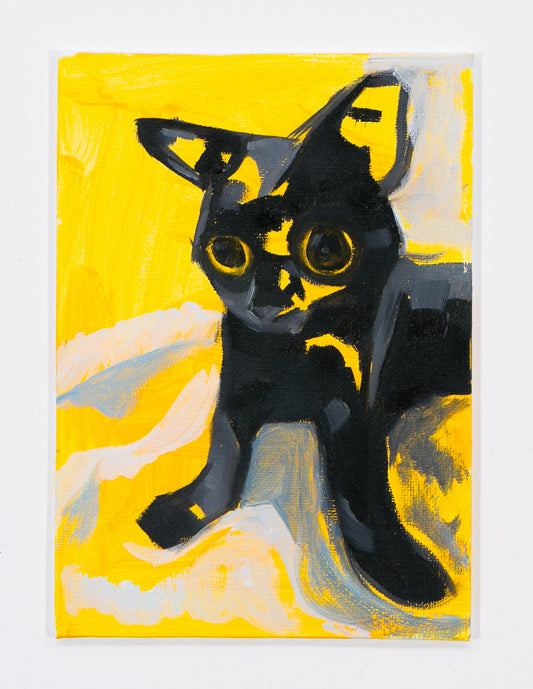 Cat (Photo Print)
